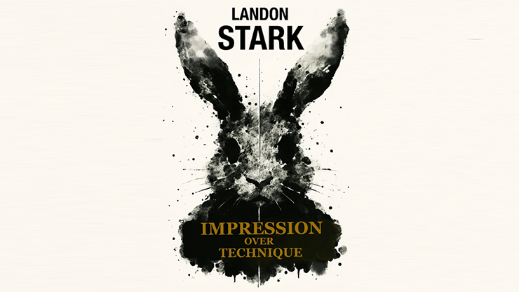 Impression Over Technique by Landon Stark