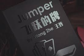 Jumper by Wang Zhe and Bacon Magic