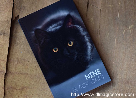 Nine Black Cats by Neemdog and Lorenzo