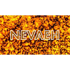 The Nevaeh Principle by Lance Bowen