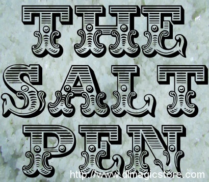 The Salt Pen by Bill Montana